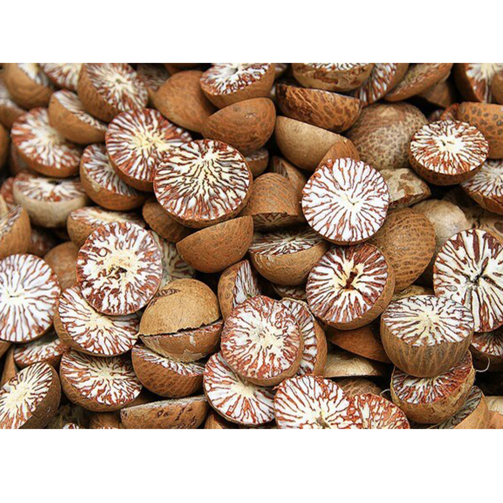 Fresh Dried Betel Nuts