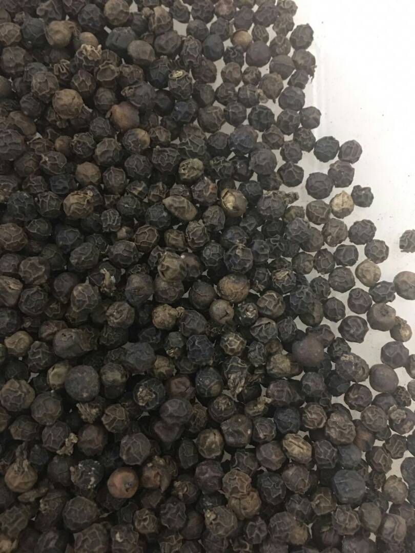 Black Pepper Corn Seed