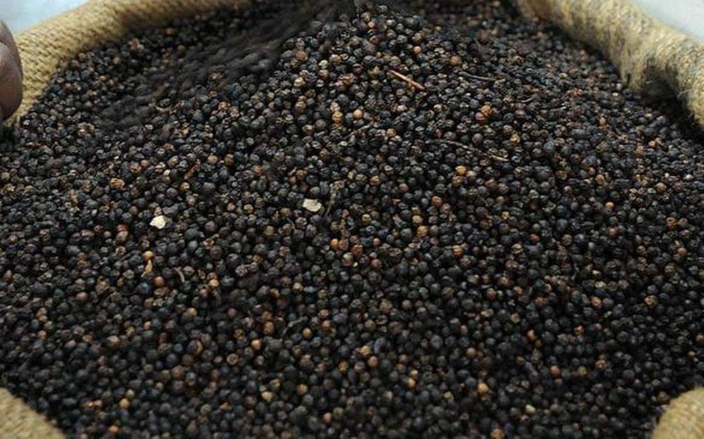 Dried White/black Pepper