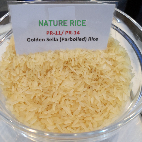 Pr 11/pr 14 Golden Sella Rice