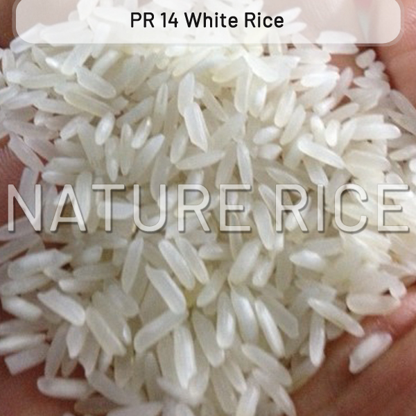 Pr 11/pr 14 Raw White Rice