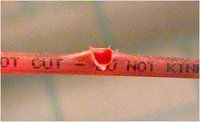Fire Tubing System - Color: Red
