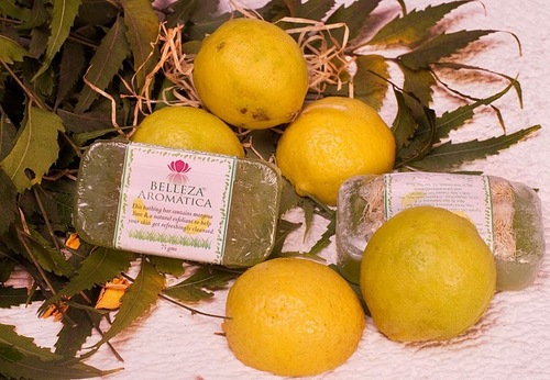 Neem Bathing Bars