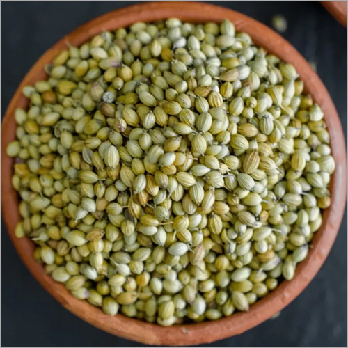 Coriander Seed