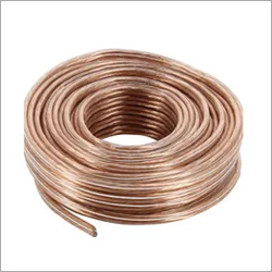 स्पीकर वायरस