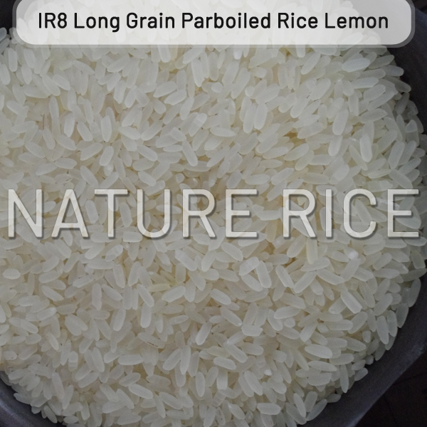 Ir8 Long Grain Parboiled Rice - Organic, 99% Purity, White Color, Dried Style | Bulk Supply With Consistent Quality And Timely Delivery