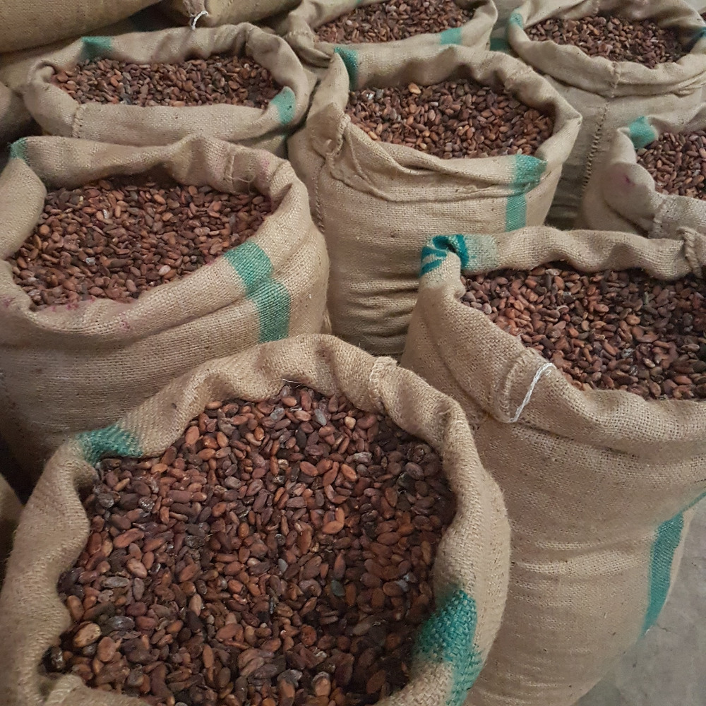 Dried Cocoa Beans(beans, Juice