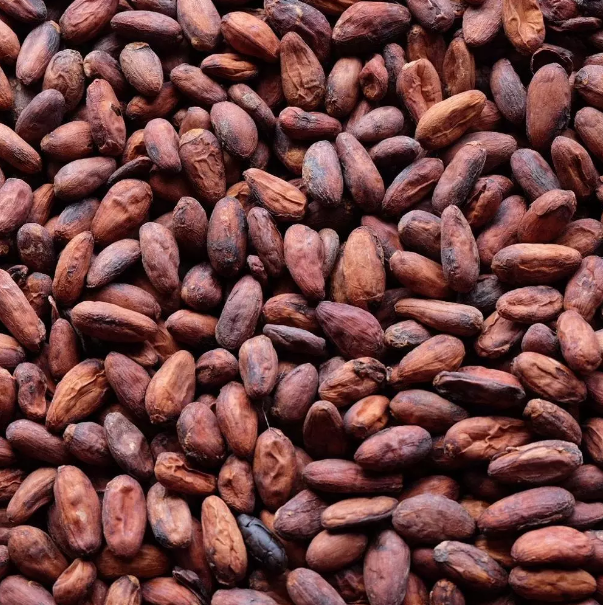 Dried Cocoa Beans(beans, Juice