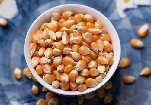 Dried Yellow Corn Seed