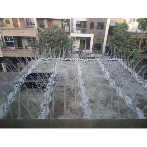 पीसी बर्ड स्पाइक