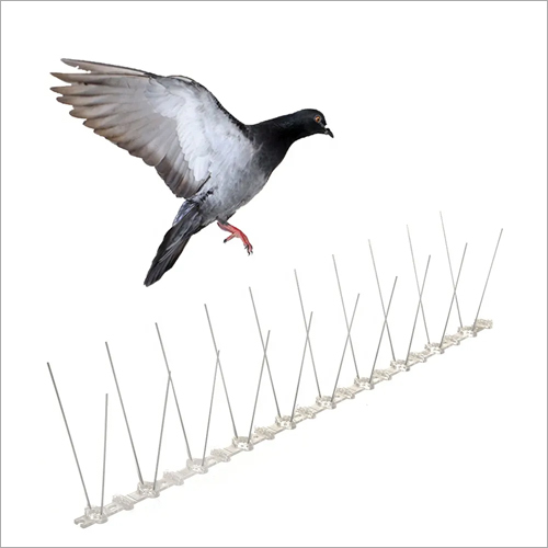Silver Steel Bird Spike