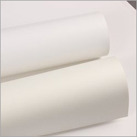 SBS And FBB Board - Paper Material, Various Sizes & Thickness Available | White Color, Custom Weight as Per Requirement