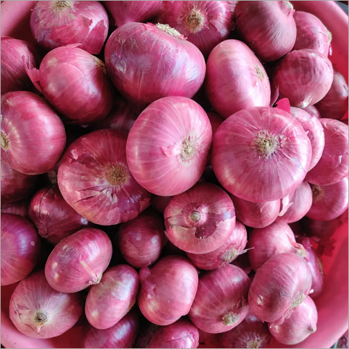 Red Onion Shelf Life: 3-4 Week