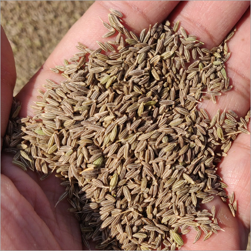 Organic Cumin Seed Grade: Spice