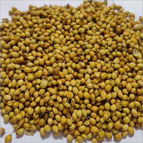 Fresh Coriander Seed Grade: Spice
