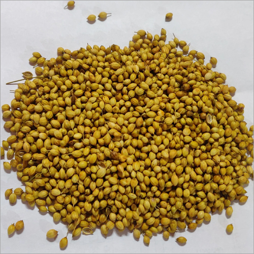 Coriander Seed - Whole Golden-Yellow Spices, 6 Months Shelf Life, Aromatic Citrus Flavor, For Dry-Roasting