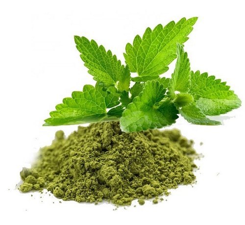 Tulsi Extract