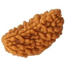 1 Mukhi Rudraksh