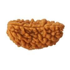 1 Mukhi Rudraksh