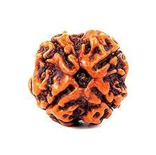 4 Mukhi Rudraksh - Brown, Round, Variable Size | Premium Nepali Rudraksha Seed For Spiritual Wellness