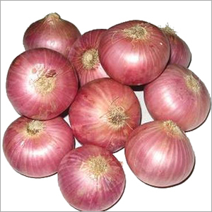 ताजा लाल प्याज