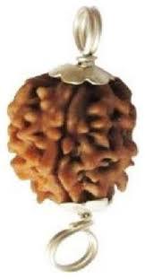 3 Mukhi Rudraksh