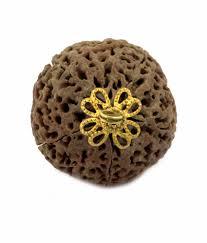 5 Mukhi Rudraksha - Brown Variable Size Round Rudraksha Seed | 5 Faces, Authentic Nepal Origin