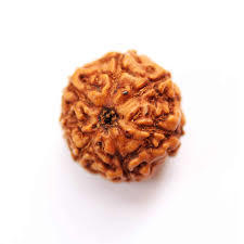 5 Mukhi Rudraksha - Brown Variable Size Round Rudraksha Seed | 5 Faces, Authentic Nepal Origin