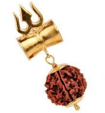 6 Mukhi Rudraksha
