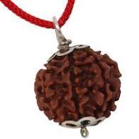 7 Mukhi Rudraksha