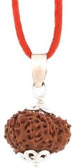 11 Mukhi Rudraksha - Brown Rudraksha Seed, Round Shape With 11 Faces | Spiritual Energy Enhancer