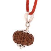 12 Mukhi Rudraksha