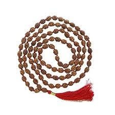 2 Mukhi Rudraksh