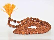 3 Mukhi Rudraksh Mala