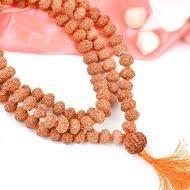 7 Mukhi Rudraksha Mala