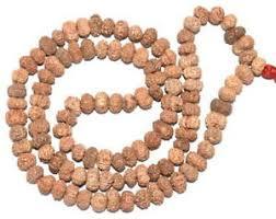 11 Mukhi Rudraksha Mala