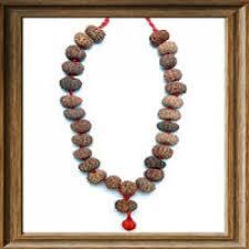 12 Mukhi Rudraksha Mala