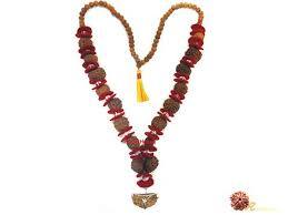 12 Mukhi Rudraksha Mala