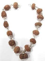 13 Mukhi Rudraksha Mala