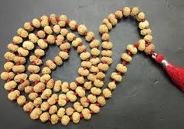 13 Mukhi Rudraksha Mala