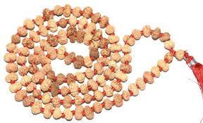 13 Mukhi Rudraksha Mala