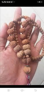 14 Mukhi Rudraksha Mala