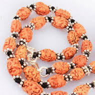 2 Mukhi Rudraksh Mala Indonesian Java