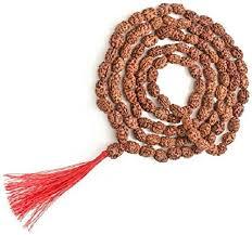 2 Mukhi Rudraksh Mala Indonesian Java