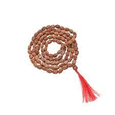 2 Mukhi Rudraksh Mala Indonesian Java