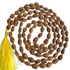 2 Mukhi Rudraksh Mala Indonesian Java