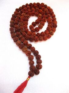 4 Mukhi Rudraksh Mala Indonesian Java
