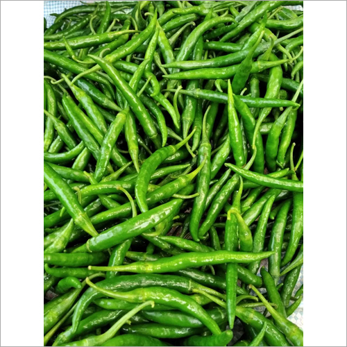 Indian Green Chilli - Organic, Fresh, Natural Shape | Nutrient-rich Spice For Diverse Culinary Creations, Ideal For Food Preparation