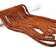 10 Mukhi Rudraksha Mala Indonesian Java
