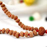 10 Mukhi Rudraksha Mala Indonesian Java